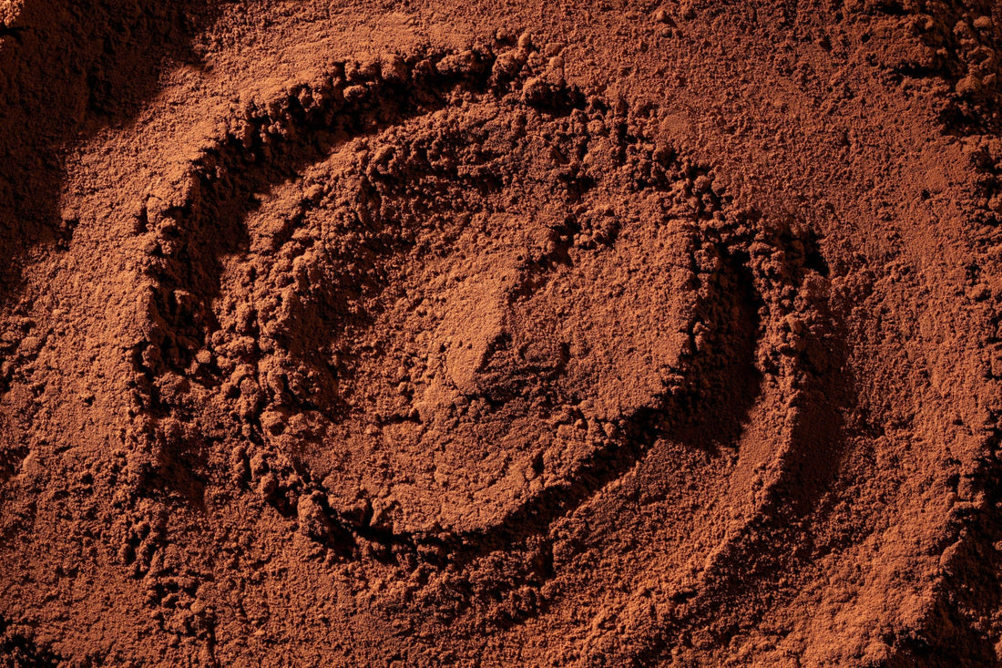 The Science Behind Flava'Choc: Our Complete Reference List