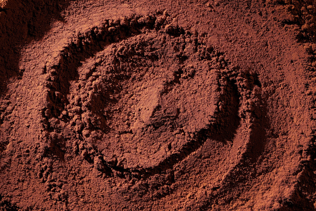 The Science Behind Flava'Choc: Our Complete Reference List