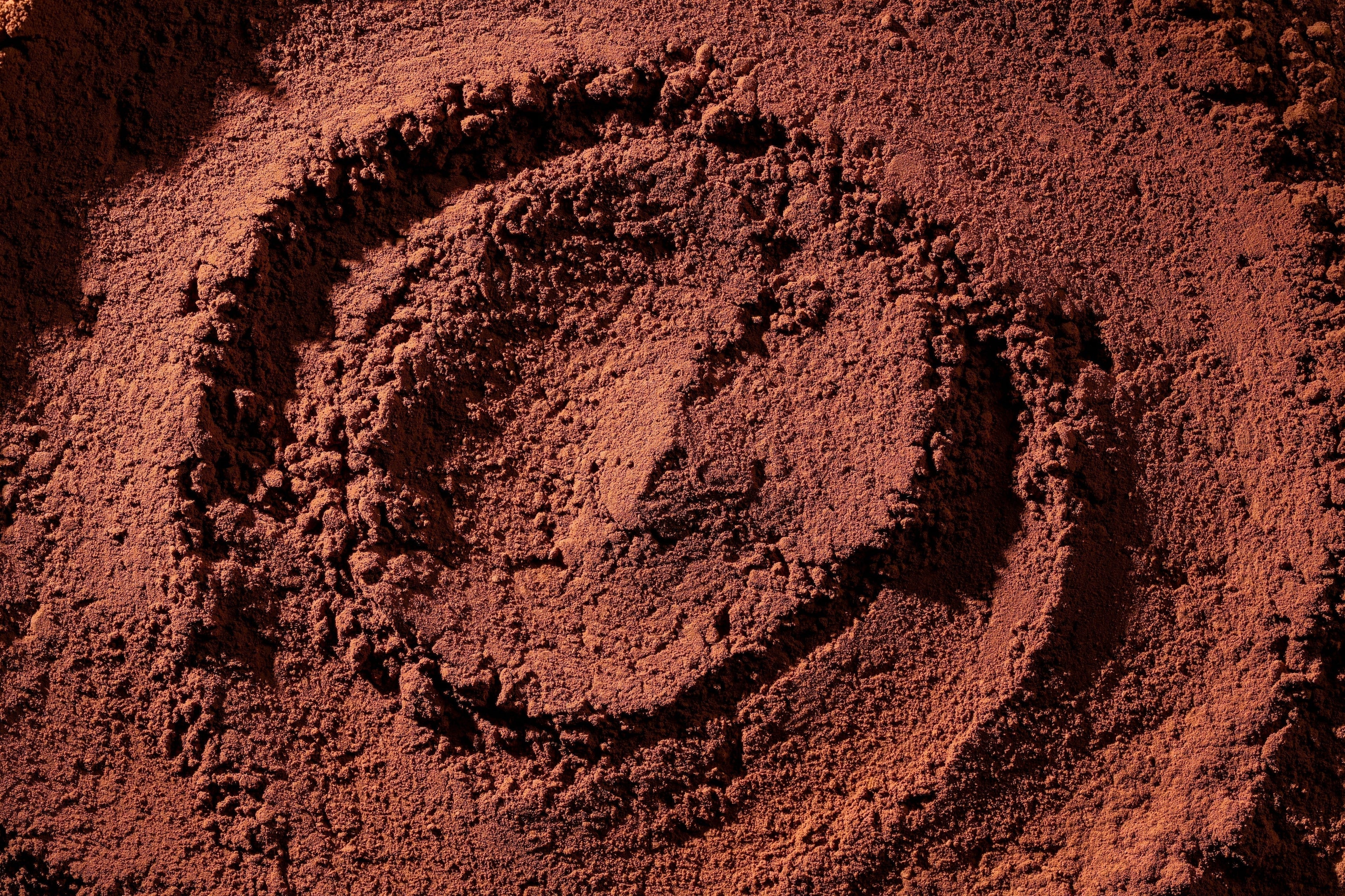 The Science Behind Flava'Choc: Our Complete Reference List