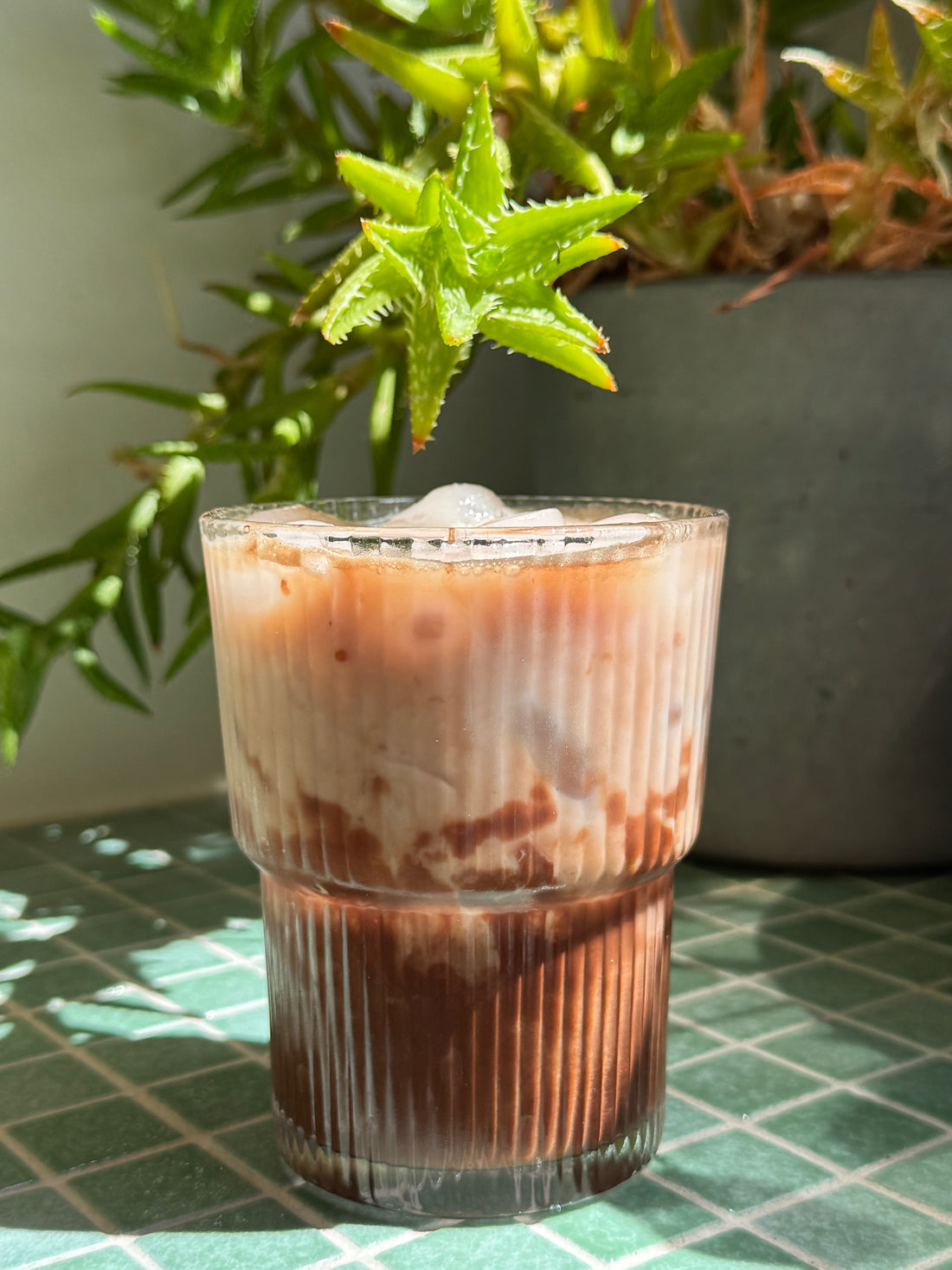 Iced Collagen Cacao Latte