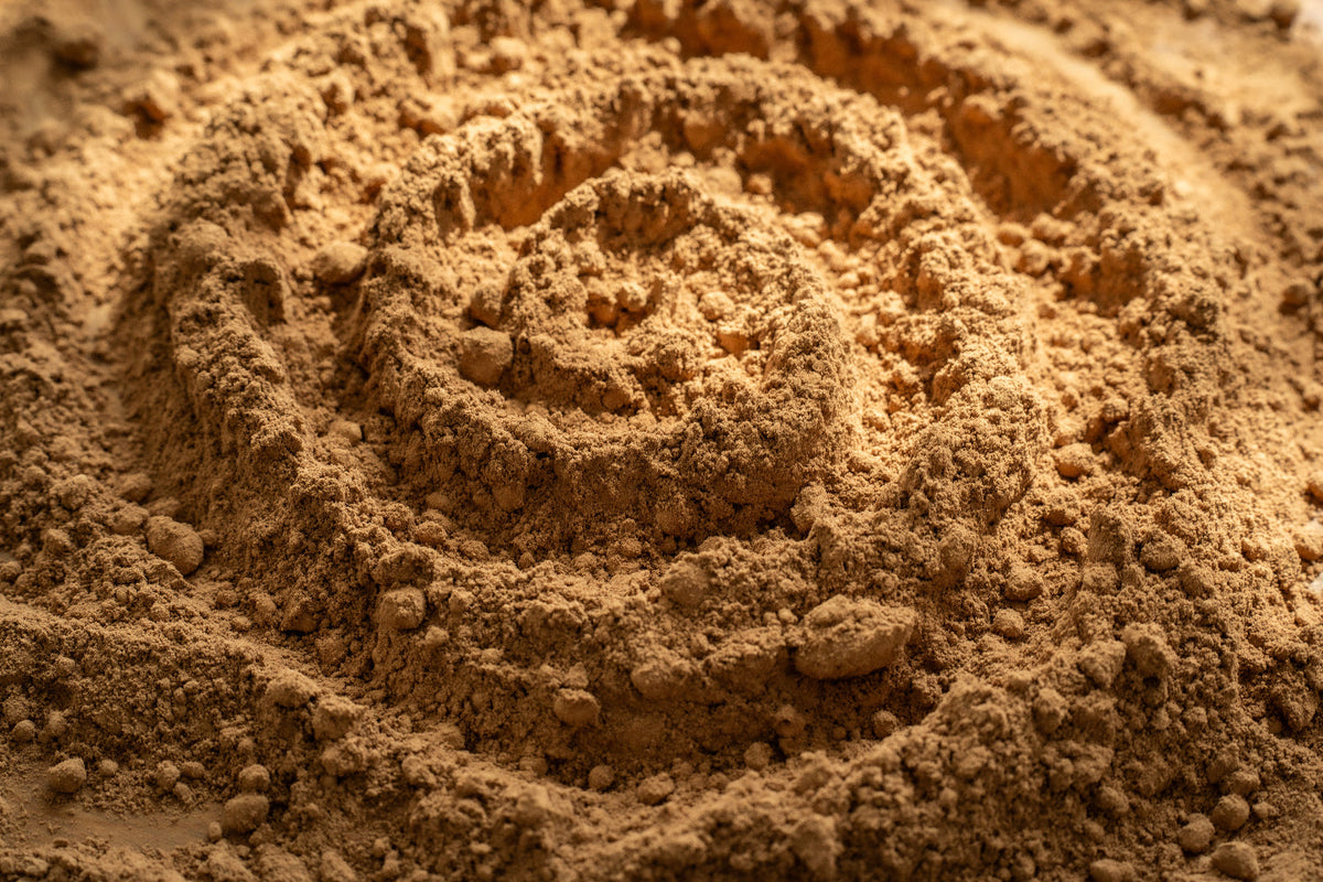 Raw Cacao Powder vs. Regular Cocoa Powder
