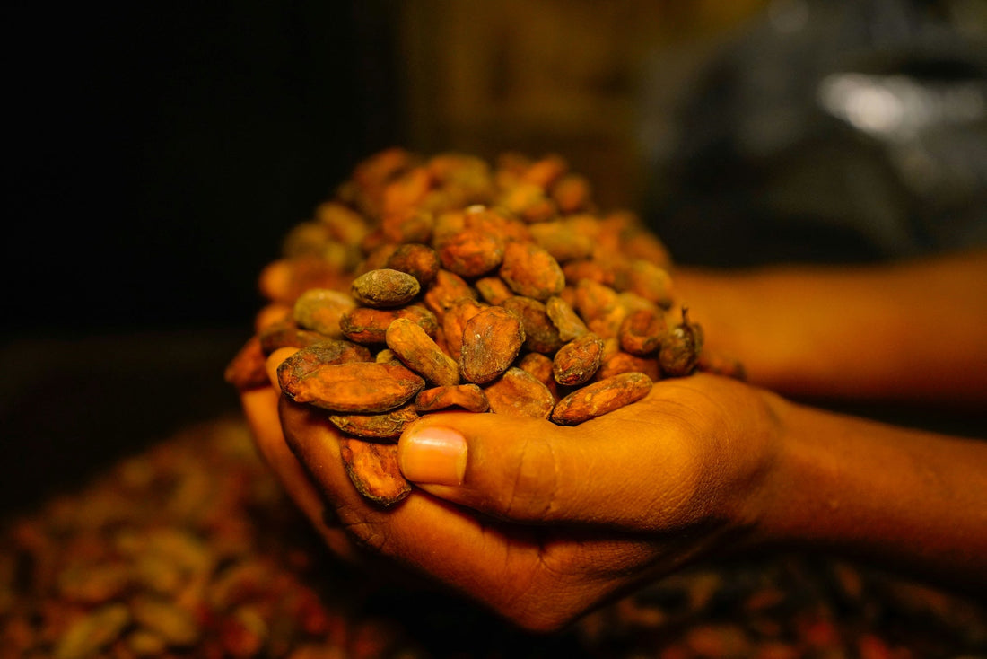 Why We Don't Use the Term "Ceremonial Cacao"