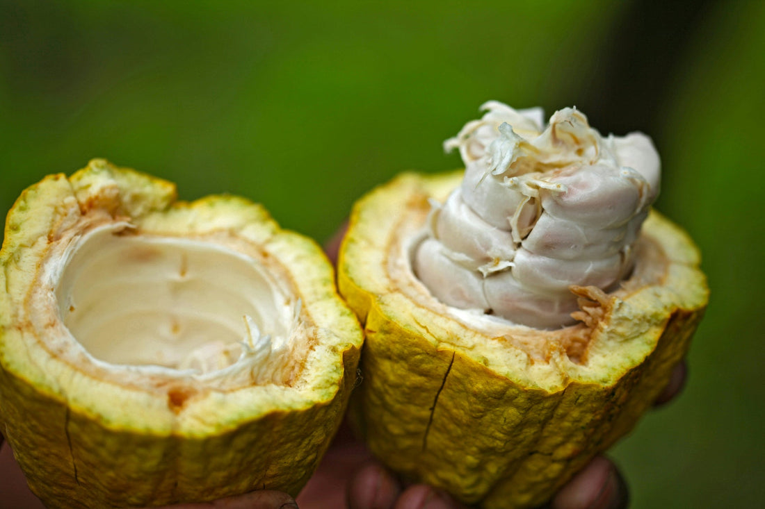 Flavanols vs. Flavonoids vs. Polyphenols: What's the Difference?
