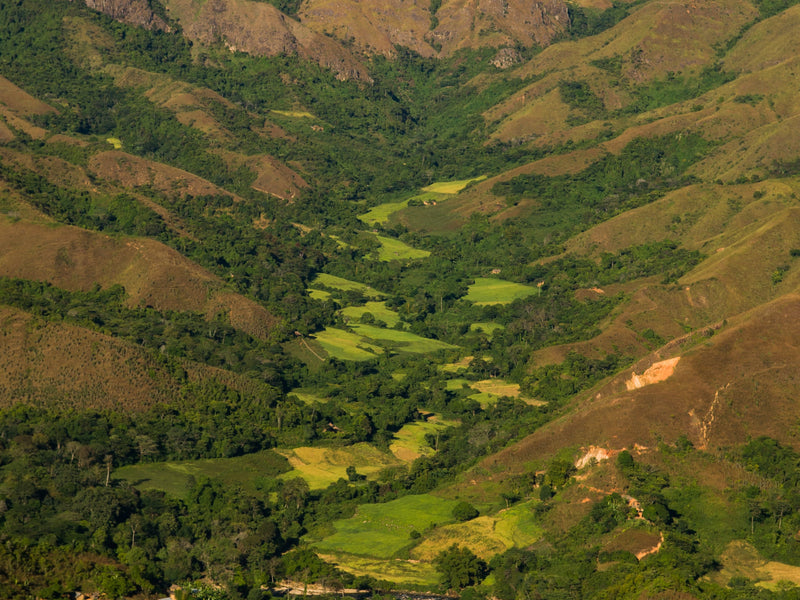 Sambirano, Madagascar