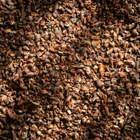 Raw Cacao Nibs — Close-Up of Loose Nibs