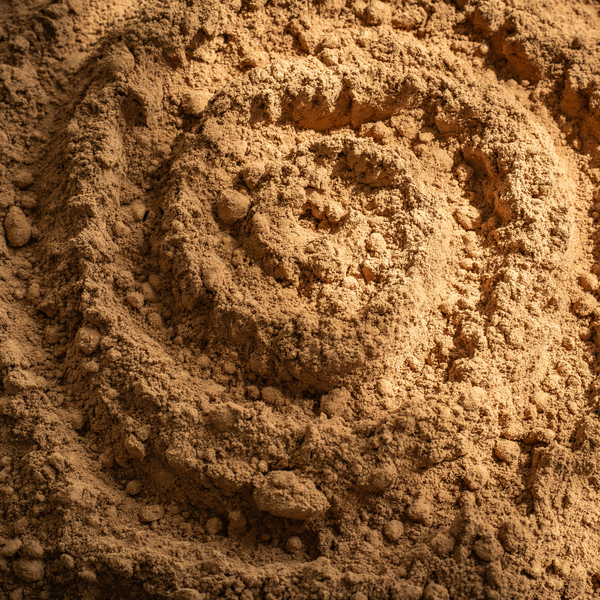 Raw Cacao Powder — Close-Up of Cacao Powder