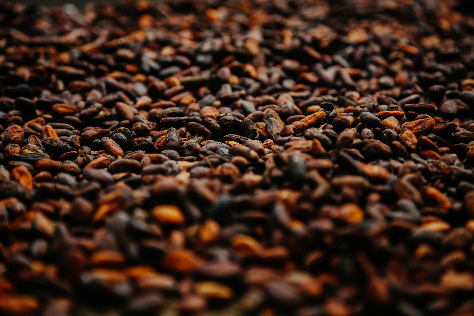 Flava'Choc raw cacao